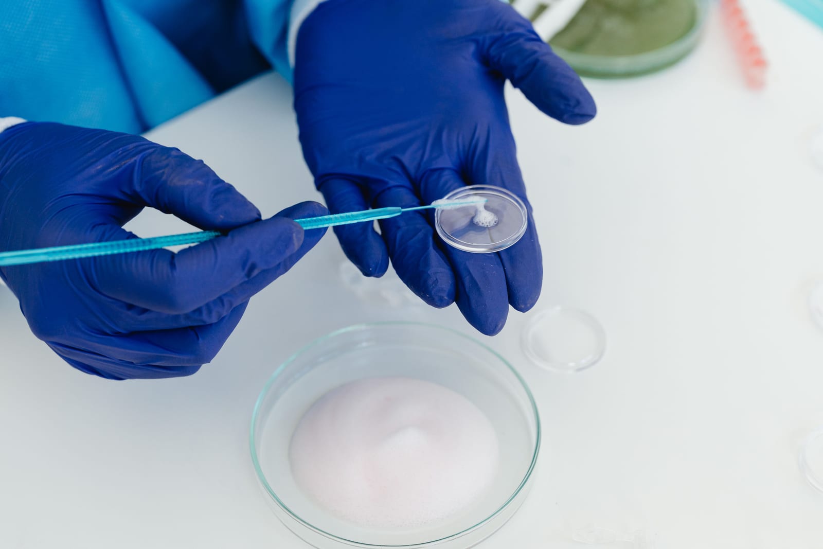 Ein Laborforscher mit Handschuhen hält im Labor eine Petrischale mit medizinischem Gerät.